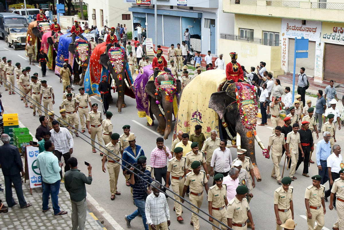 Dasara elephants march towards Mysuru Palace from Aranya Bhavan in Mysuru on Monday. (DH Photo)