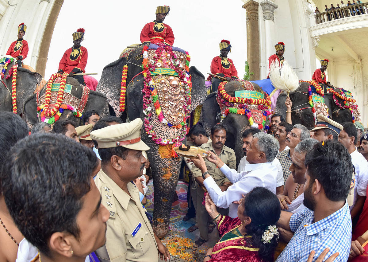 The elephants will camp on the Palace premises till the conclusion of the Dasara. The festival commences on September 29 and concludes with the Vijayadashami procession or Jamboo Savari on October 8.
