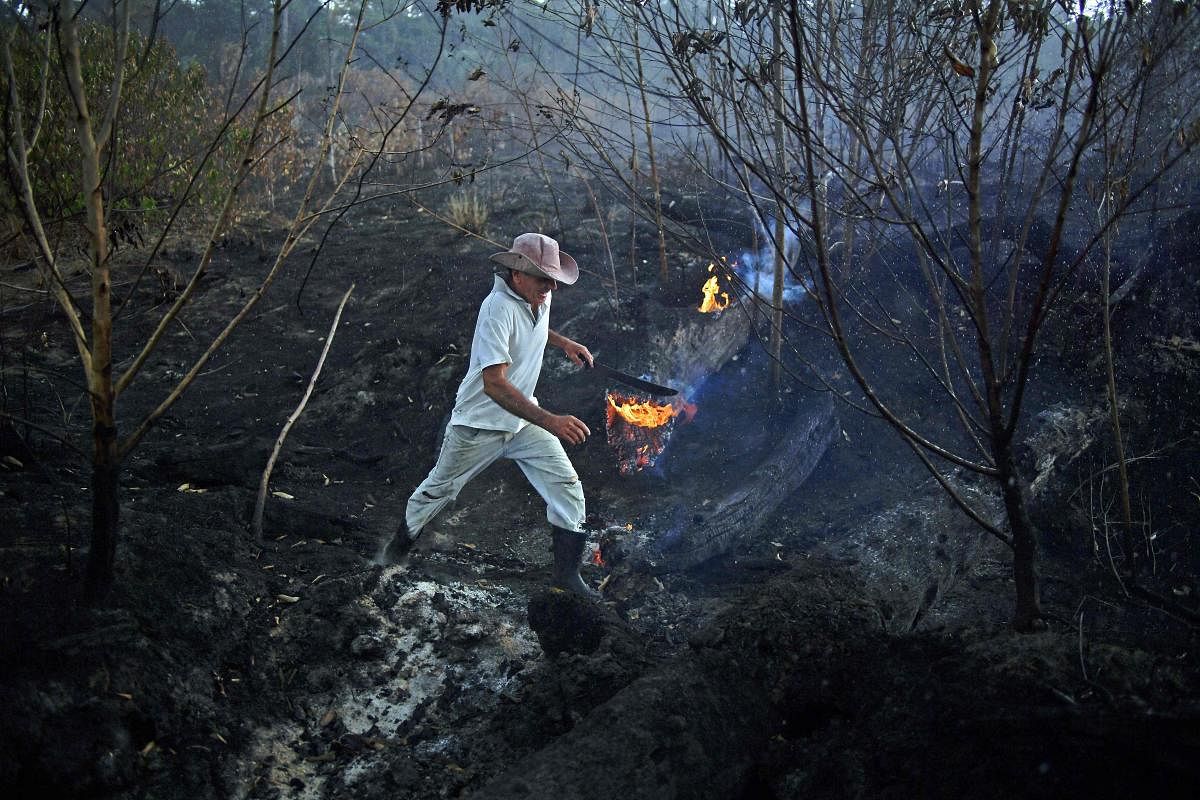 Brazilian farmer Helio Lombardo Do Santos is seen at a burnt area of the Amazon rainforest, near Porto Velho, Rondonia state, Brazil, on August 26, 2019. (Photo by CARL DE SOUZA / AFP)