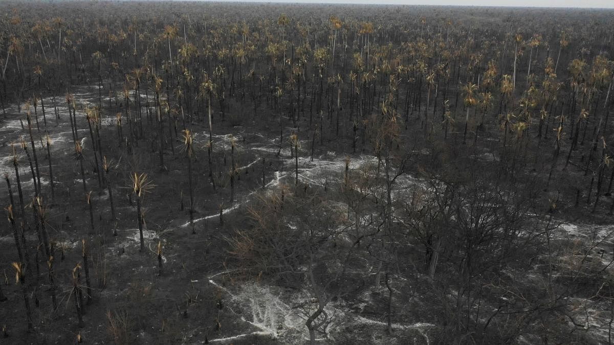 Aerial view of damage caused by wildfires in Otuquis National Park, in the Pantanal ecoregion of southeastern Bolivia, on August 26, 2019. AFP