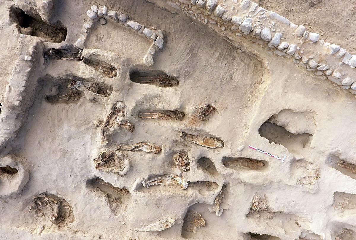 Handout picture released by Programa Arquelogico Huanchacho on August 27, 2019 showing remains of some 227 children, allegedly offered in a sacrifice ritual by the pre-Columbian culture Chimu, uncovered by archaeologists in the Pampa La Cruz sector in Huanchaco, a coastal municipality of Trujillo, 700 km north of Lima. Photo by Programa Arqueologico Huanchaco / PROGRAMA ARQUEOLOGICO HUANCHACO / AFP