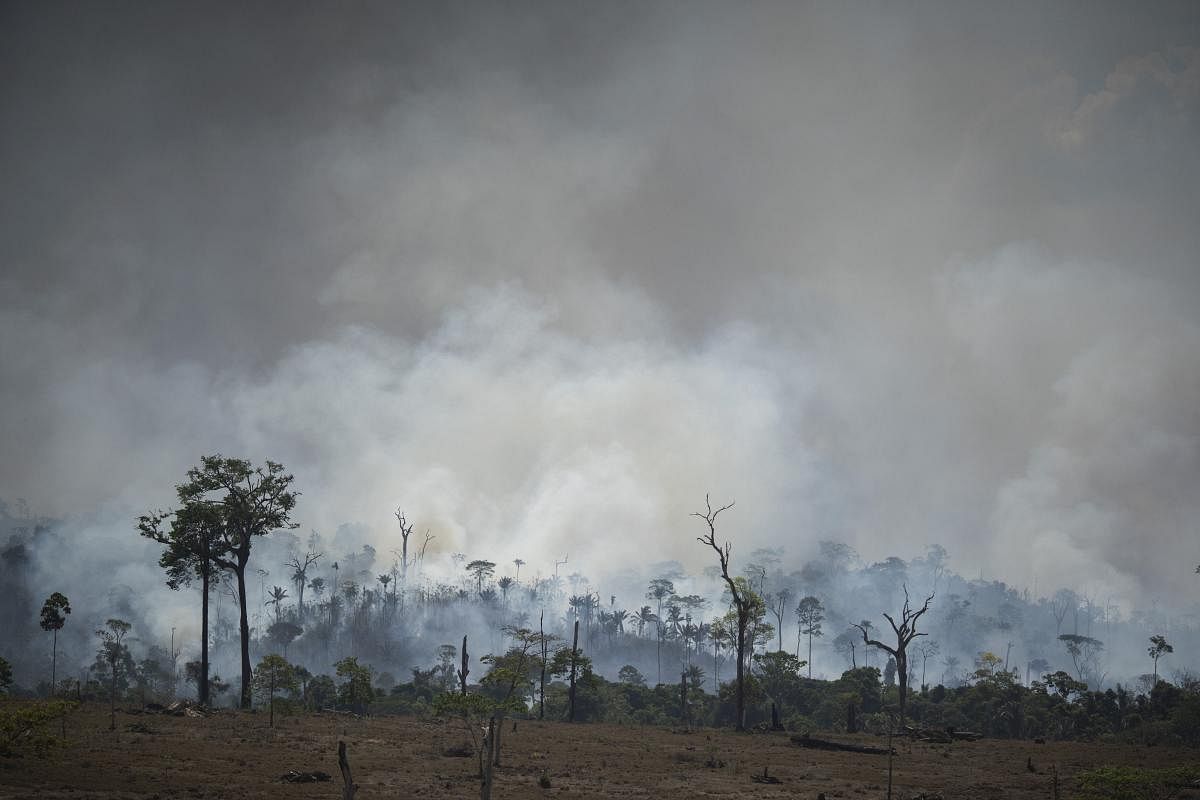  Fires across the Brazilian Amazon have sparked an international outcry for the preservation of the world's largest rainforest. AP/PTI 