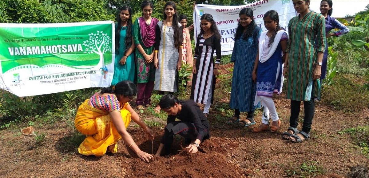 Saplings were planted under the guidance of the Centre for Environmental Studies of Yenepoya (Deemed to be) University, Mangaluru.