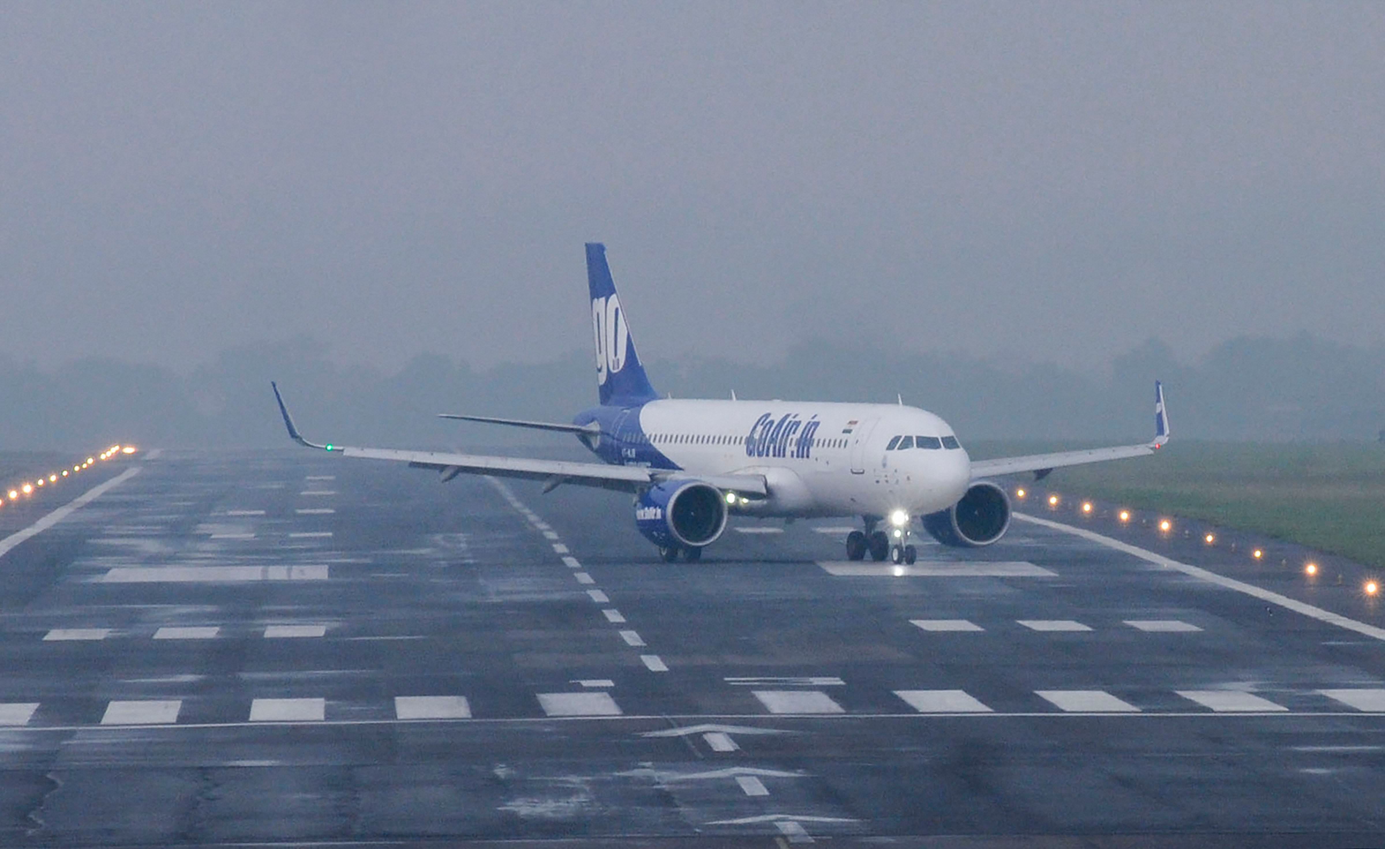 Two flights were delayed due to a dead bird on the Mumbai runway (PTI File Photo)