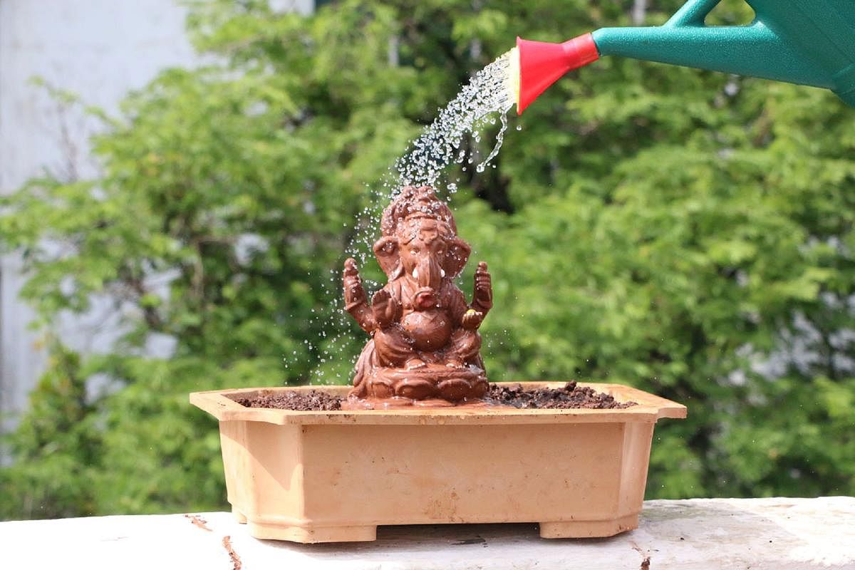 An eco-friendly idol of Ganesha that grows into a plant when watered. Credit: NGO Tree Ganesha