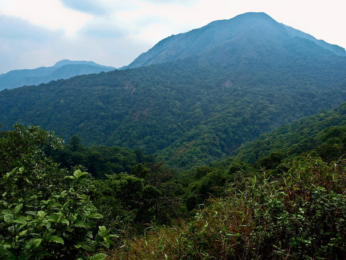 The Western Ghats is a biodiversity hotspot.