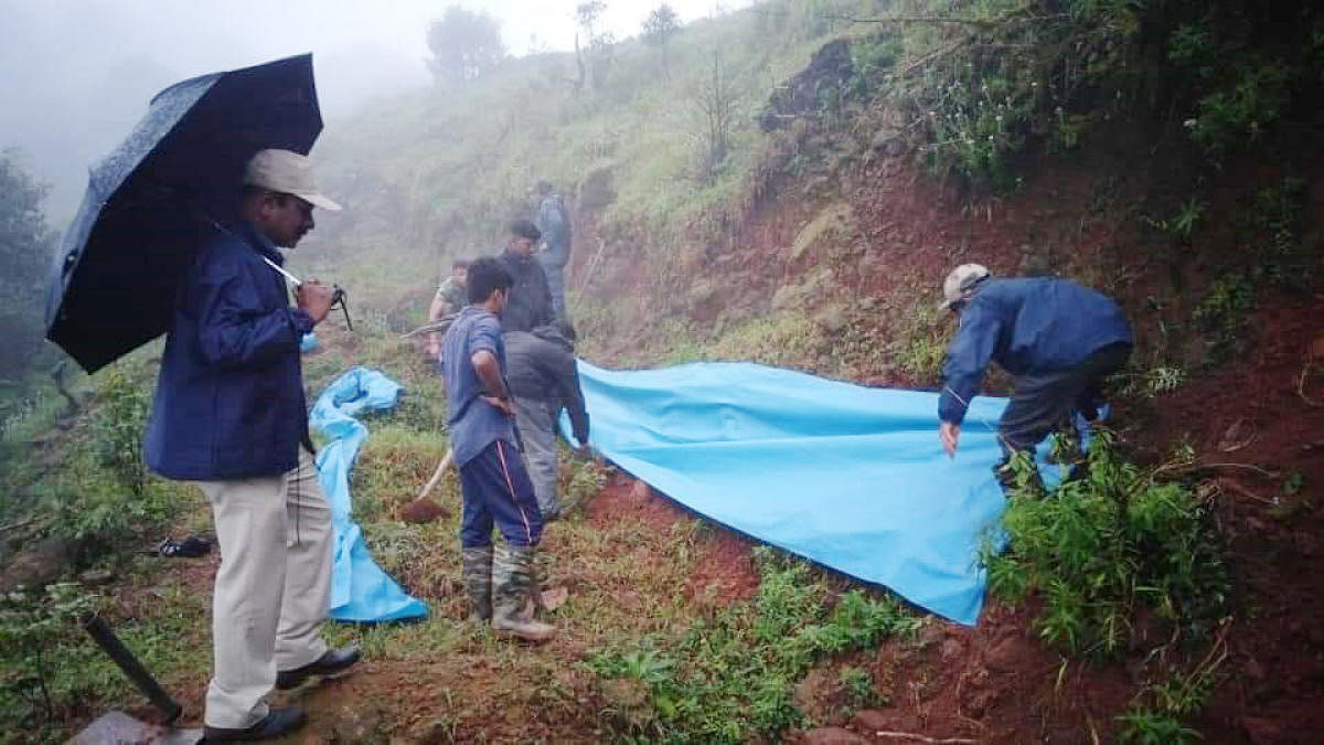 The place, where a hill developed cracks in Brahmagiri, was covered withplastic sheets, as a precaution.