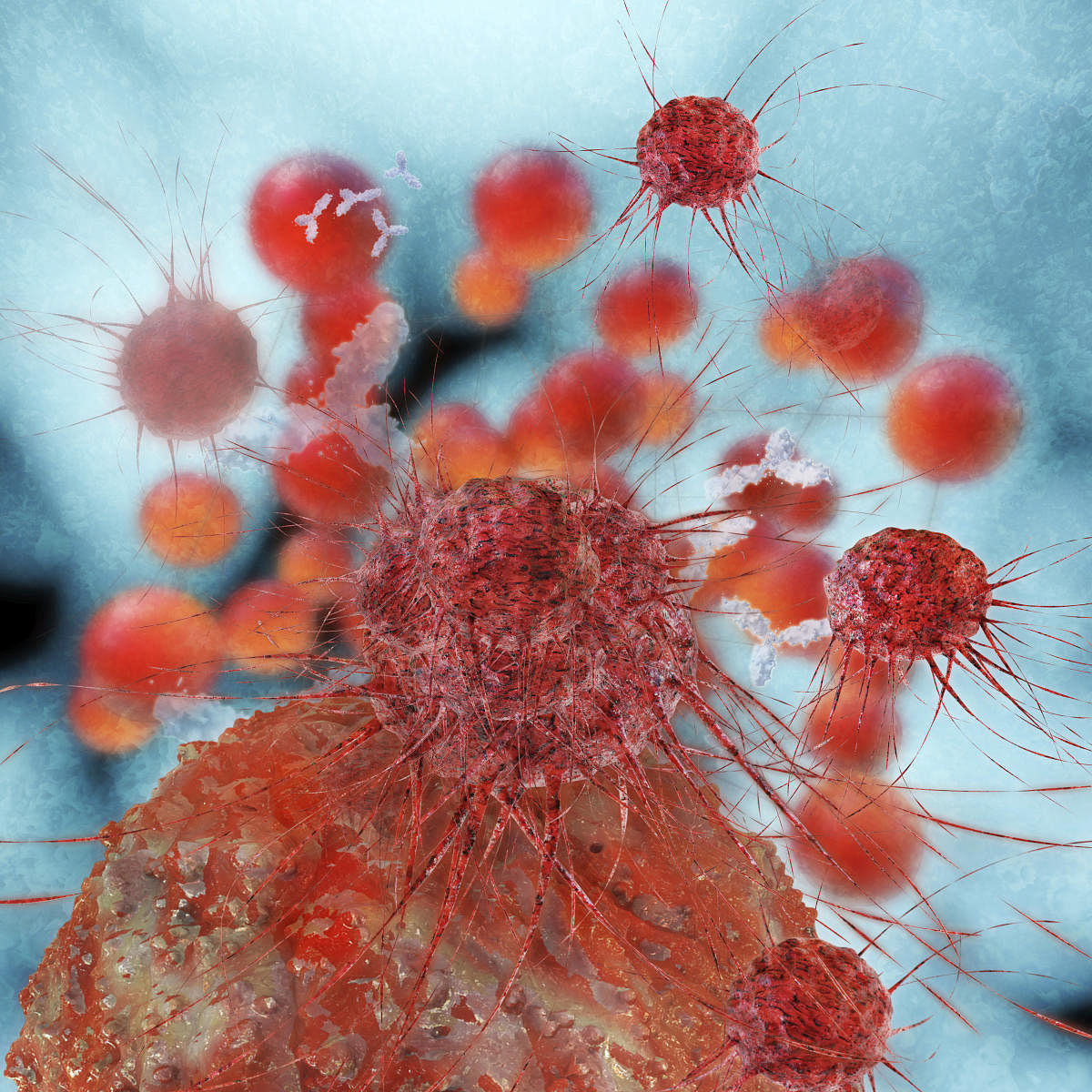 Doctors working to know cancer stages using immune system.