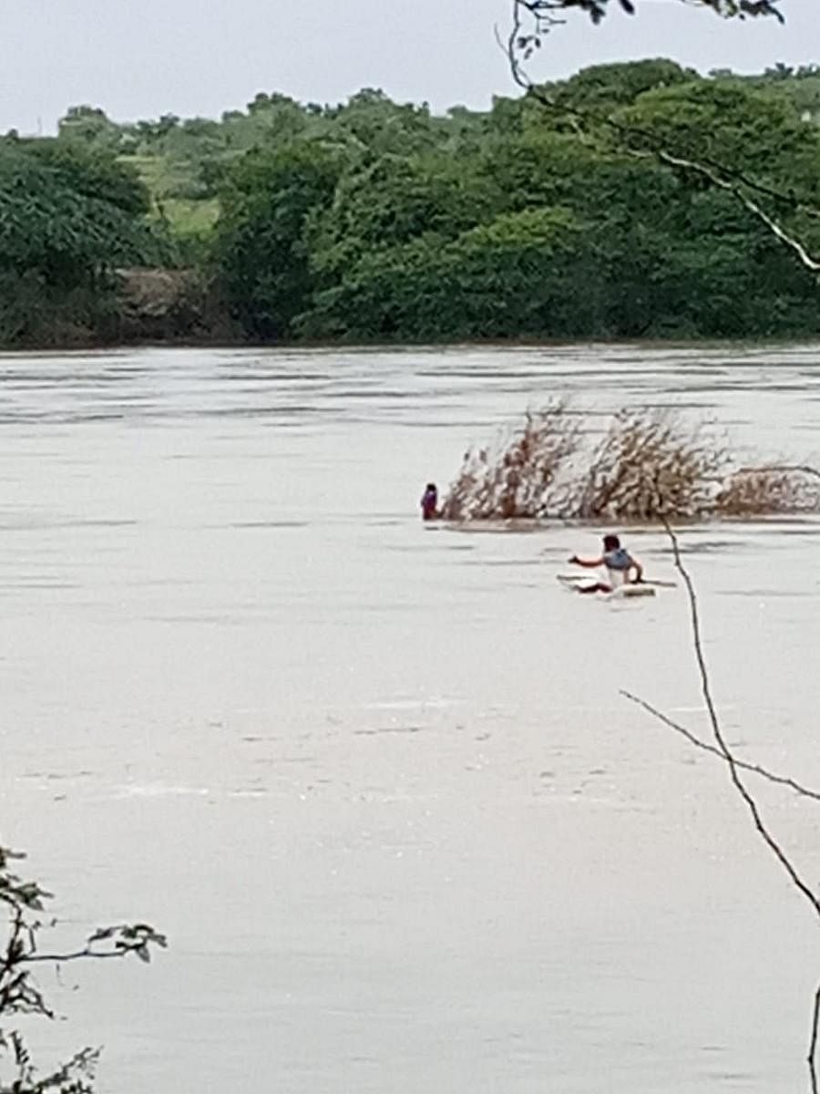 A fisherman on his way to rescue a woman in the swollen Bhima river in Mynal village in Kalaburagi district on Tuesday. DH PHOTO