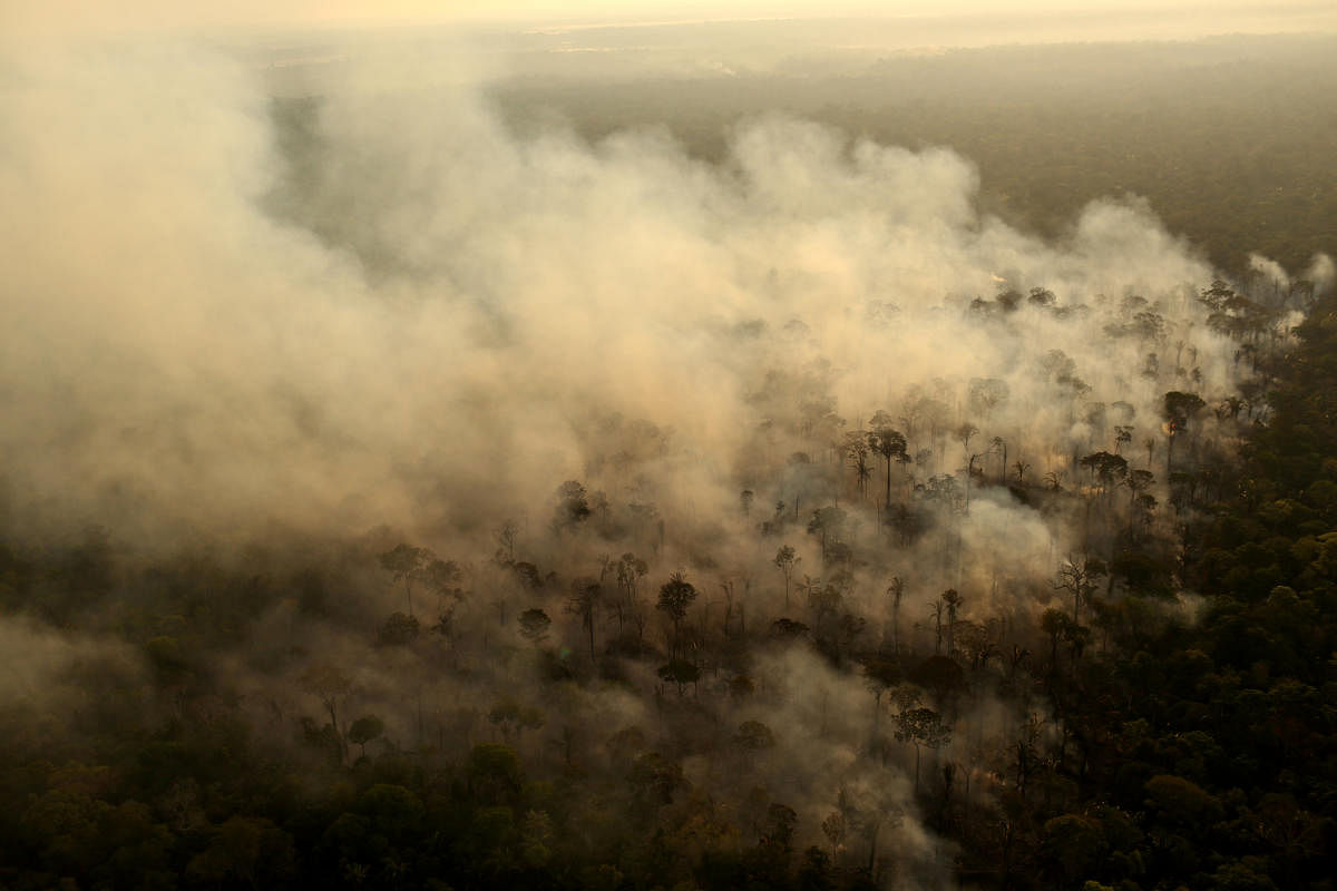 Queimadas, or burnings, are nothing new in Novo Progresso, located on the frontier where Brazil's farmland edges the Amazon rainforest in the northern state of Para. Reuters file photo