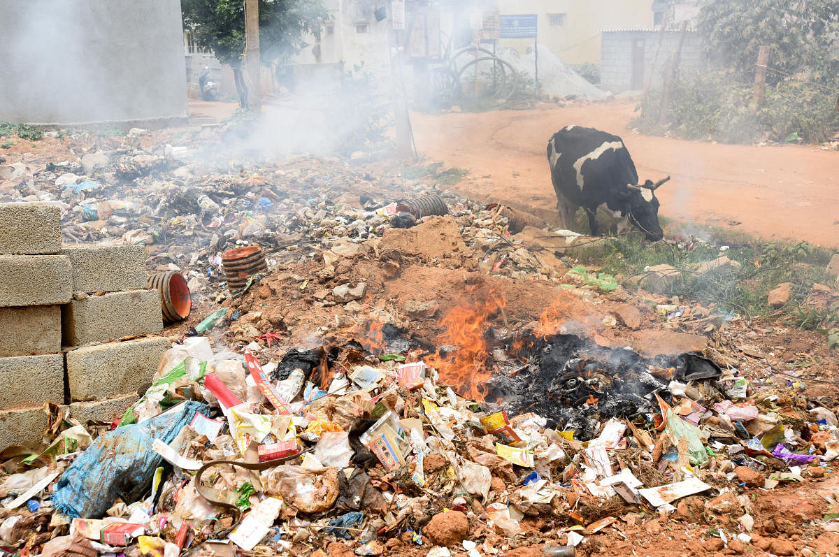 Garbage heaped up in Naganathapura. DH photo