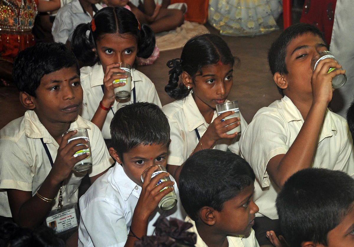 The nutritious powder will be mixed with milk provided to the kids twice a week under Ksheera Bhagya scheme. DH FILE
