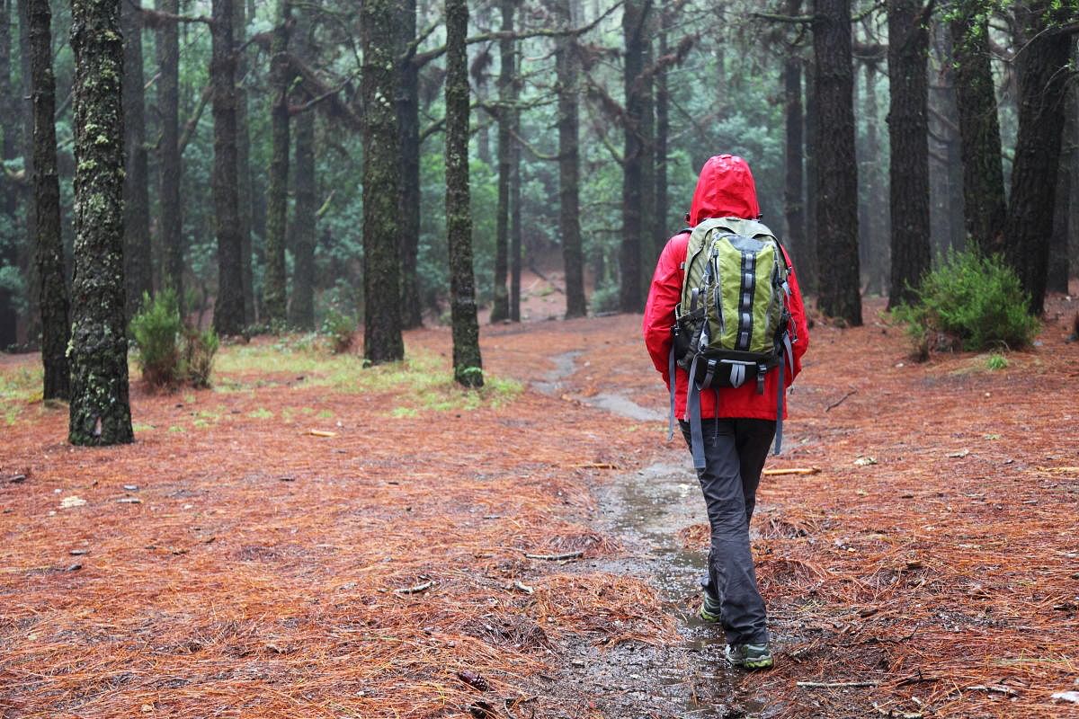 Monsoon trekking