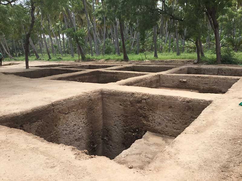 Keezhadi excavation site. (DH Photo)