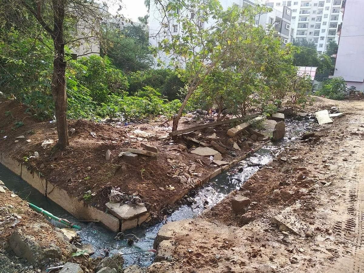 Delay in the approval of garbage microplan by BBMP triggers chaos in Bellandur ward in East Bengaluru. With garbage dumped in open drains and irregular pick up have turned the area into a breeding ground for pigs and mosquitoes.