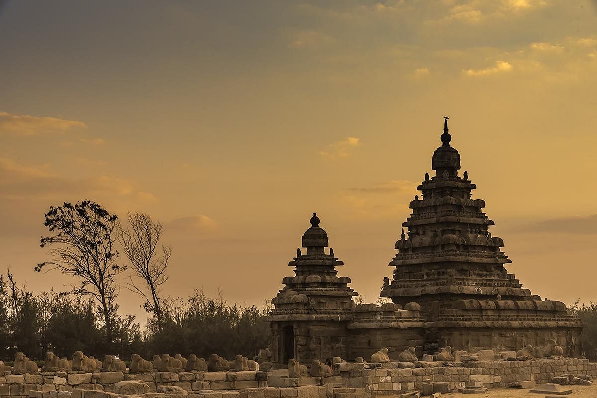 The Shore temple, dedicated to Lord Shiva, according to the ASI, is the earliest representation of structural temple at Mamallapuram dating to the Pallava Rajashima (Narashimha II) period (700-728 AD). 