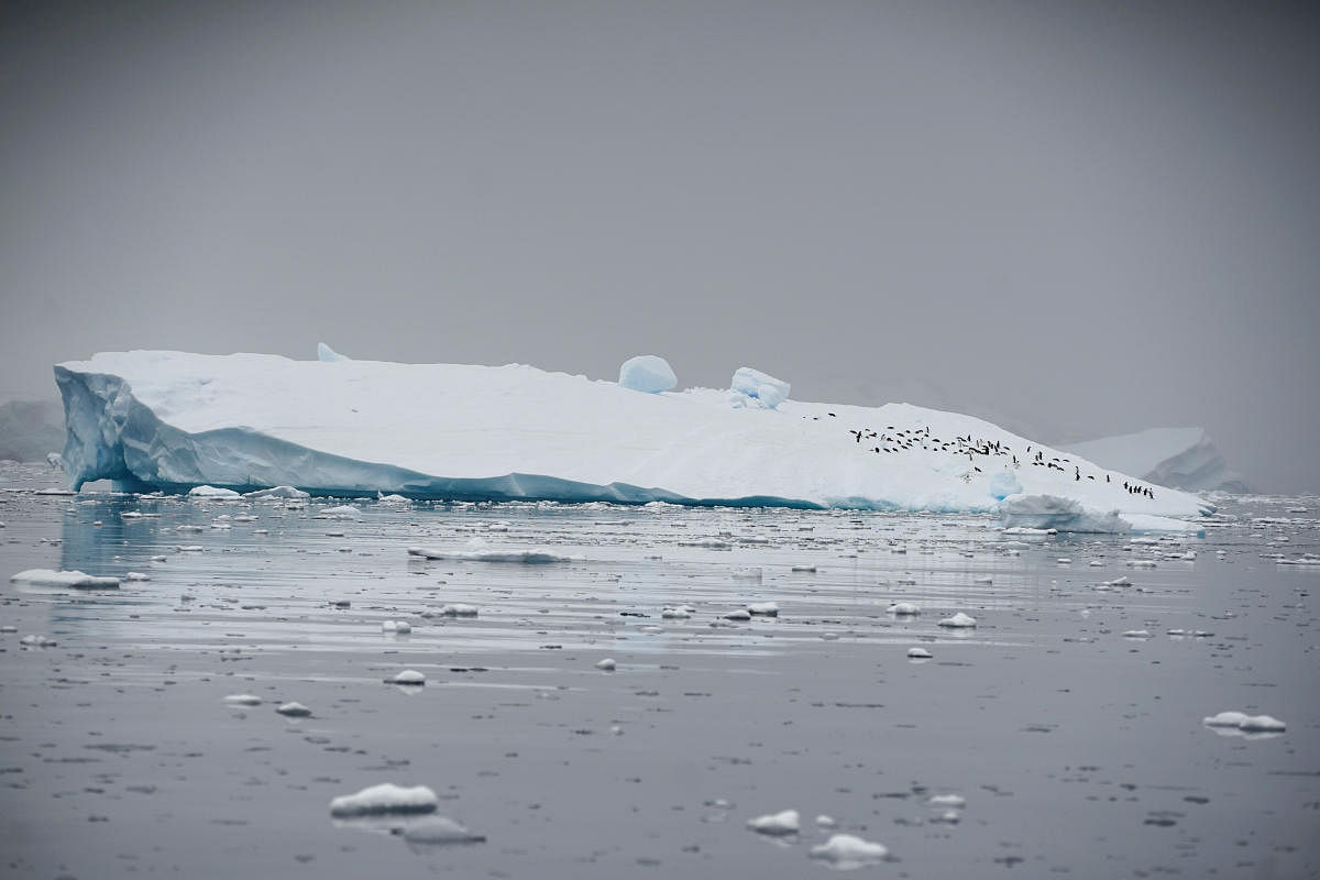 An iceberg floats in Andvord Bay, Antarctica. Retuers