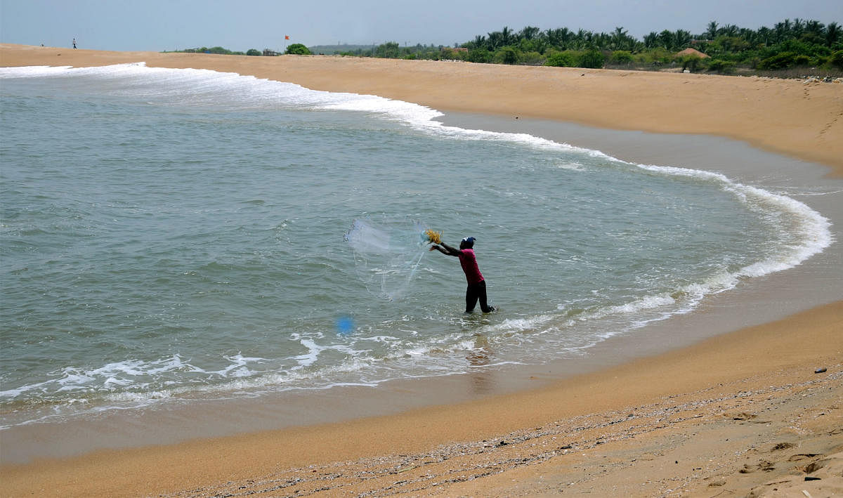 Coastal Karnataka. DH Photo