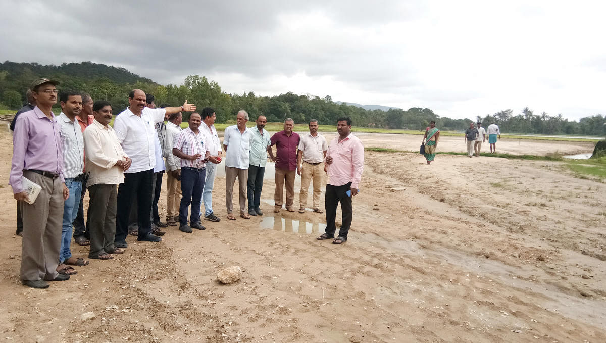 MLA T D Raje Gowda inspects the damaged paddy fields that have been completely damaged at Holegadde in Sringeri taluk.