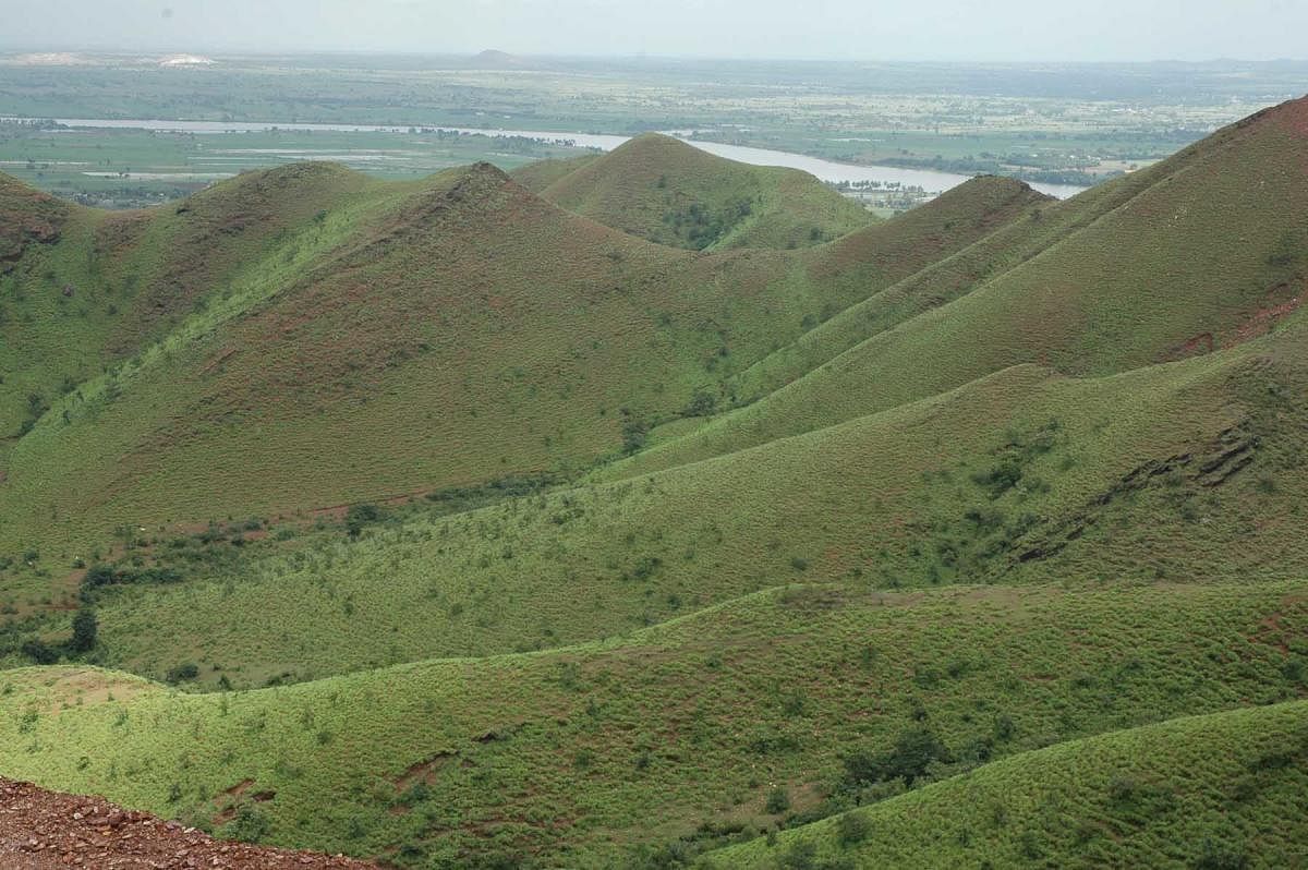 The lush green Kappatagudda Hills in Gadag district has rich reserves of iron ore and gold. DH File Photo