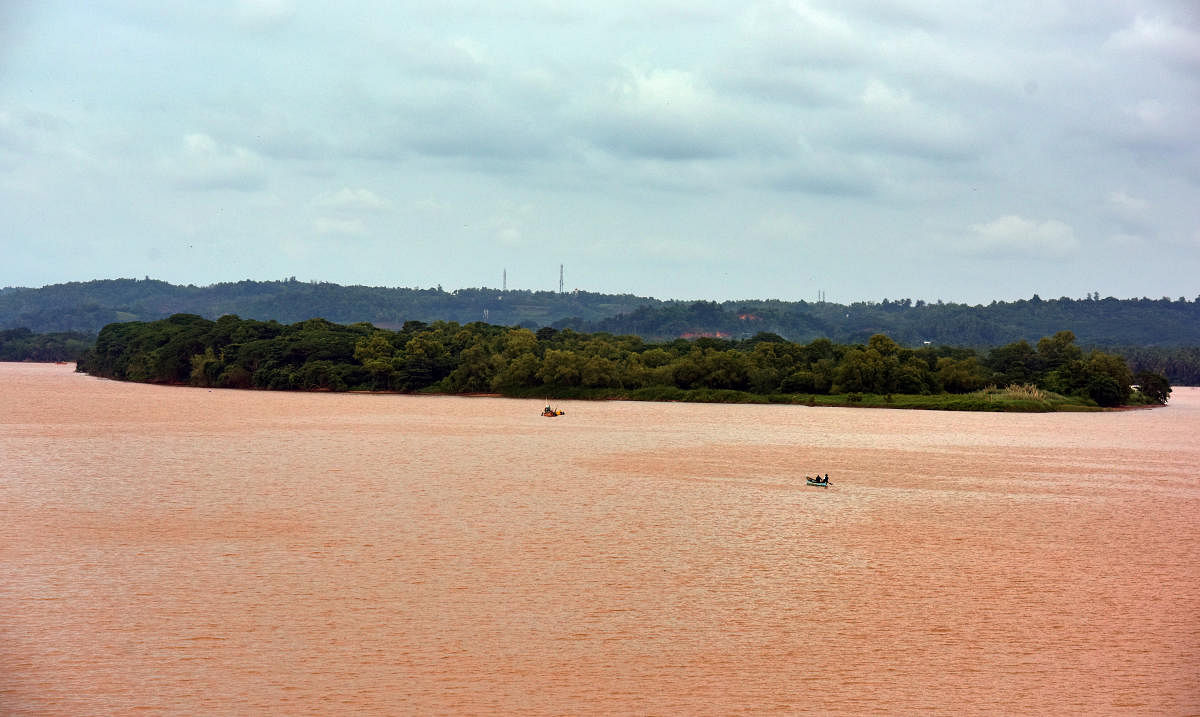 The island in River Nethravathi at Jeppinamogaru near Mangaluru city.