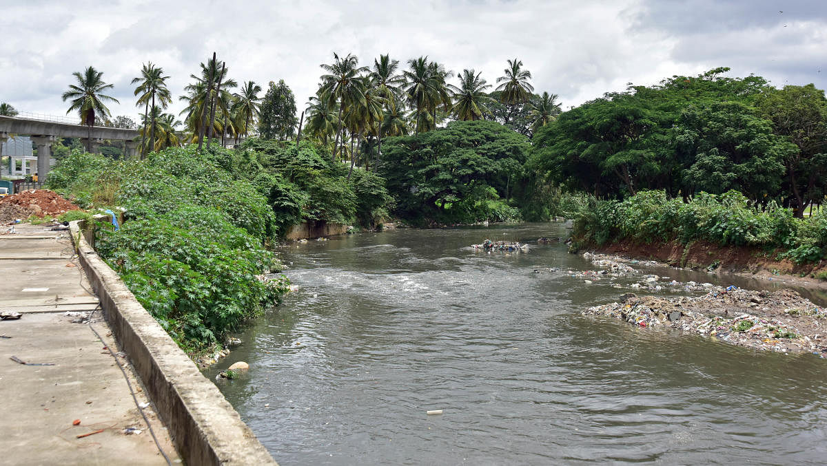 Vrishabhavathi River 