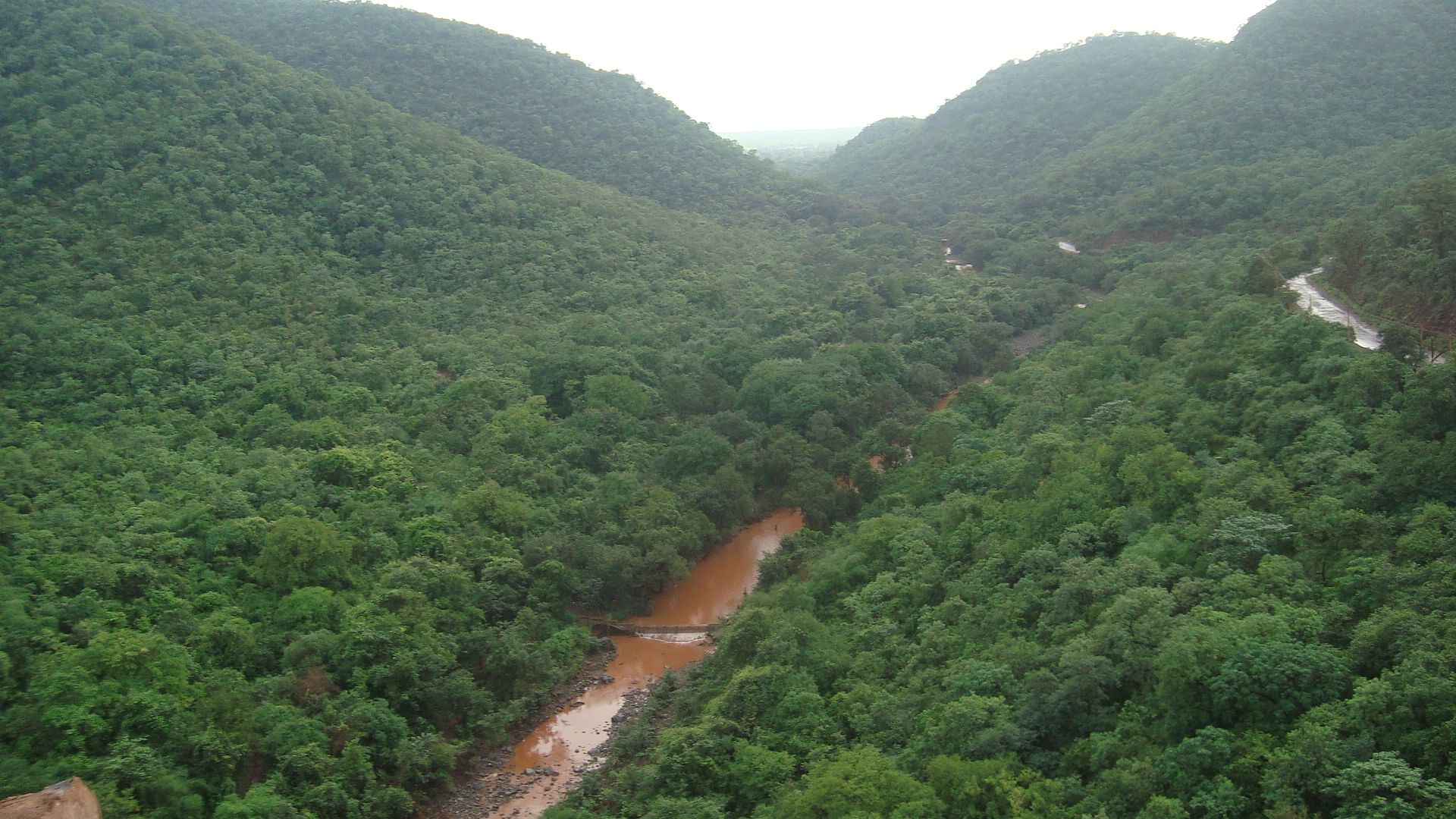 Sandur Forest. (DH Photo)