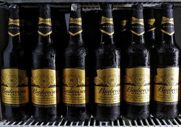 Budweiser beer bottles are seen in a cooler at a liquor shop. (Photo/Reuters)