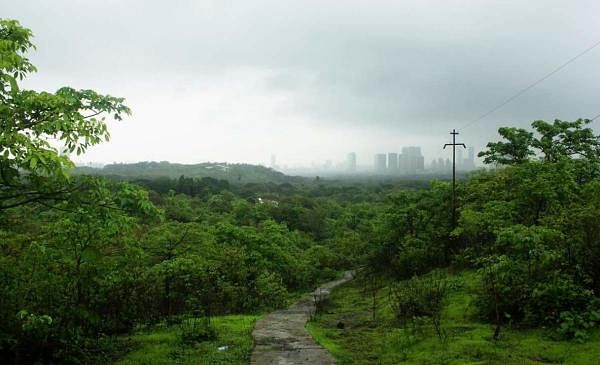 A view of the Aarey Colony in Mumbai. (DH Photo)