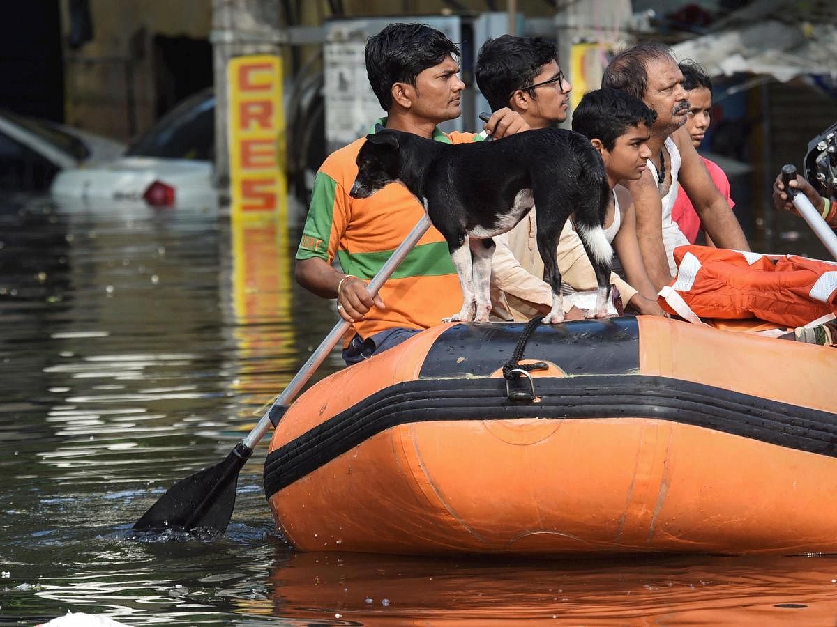 Torrential rain between September 27 and 30 has created a flood-like situation in 15 districts of Bihar, including the state capital. PTI photo