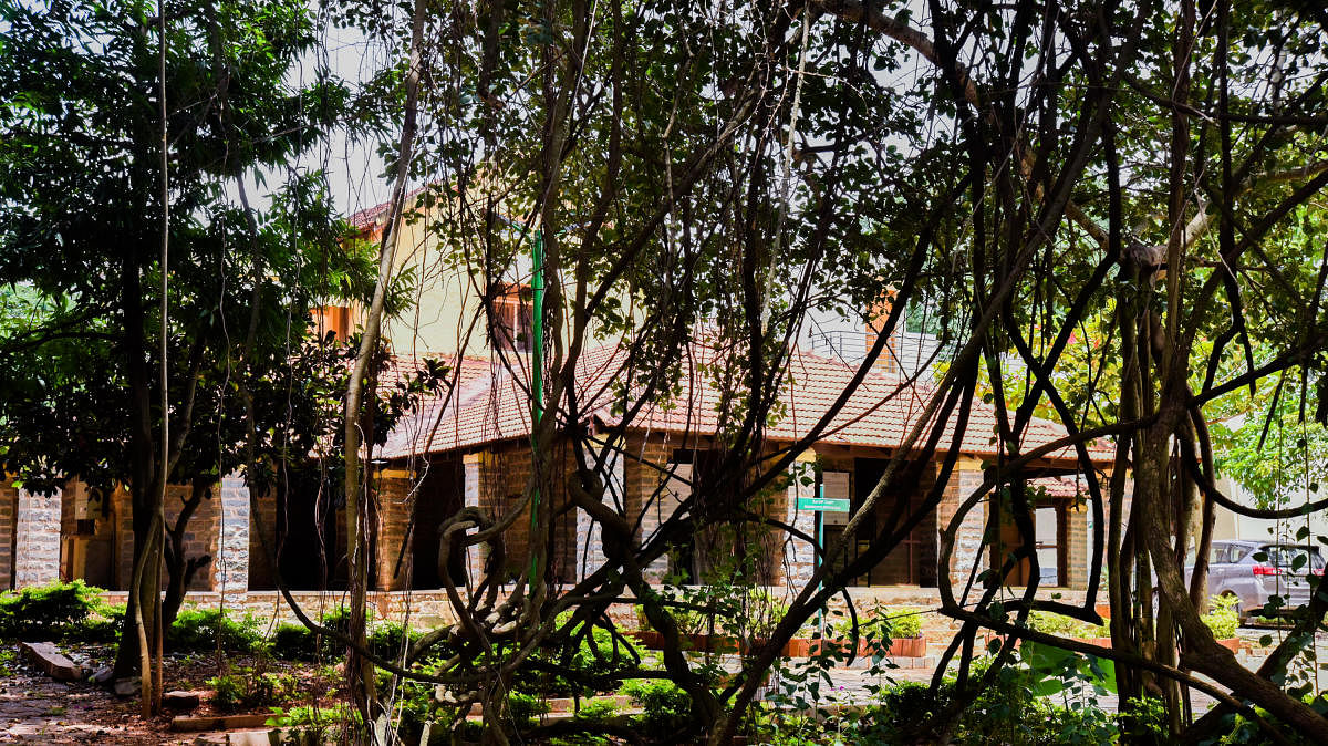 The Roerich and Devika Rani Estate on Kanakapura Road near Bengaluru. DH file photo