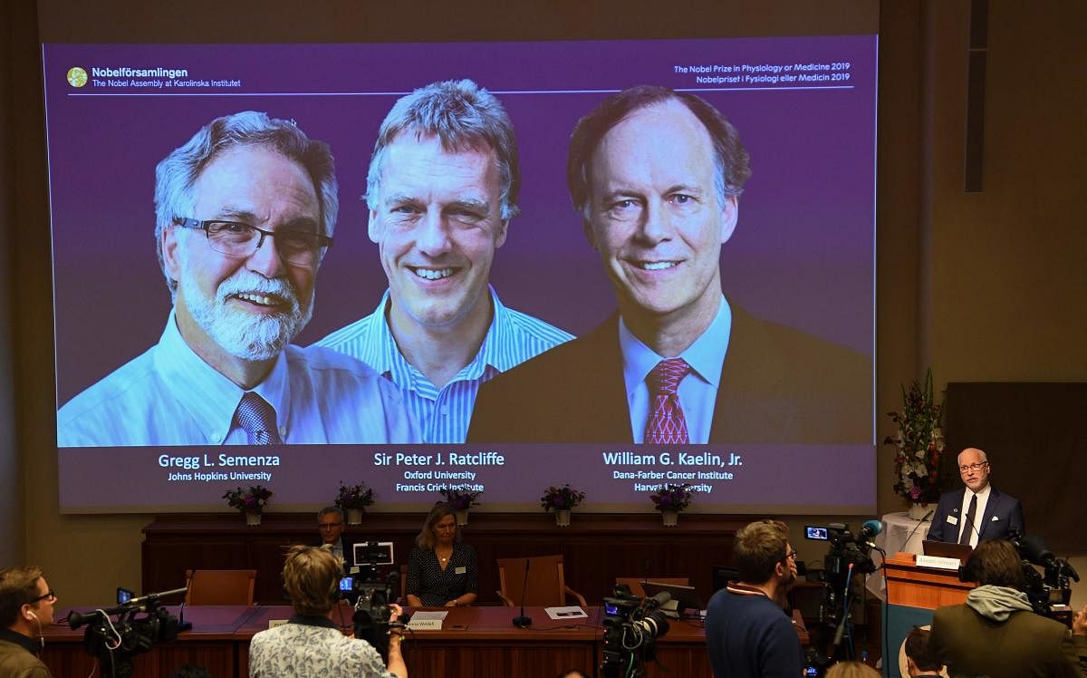 William Kaelin and Gregg Semenza of the US and Peter Ratcliffe of Britain win the 2019 Nobel Medicine Prize. (Photo by Jonathan NACKSTRAND / AFP)
