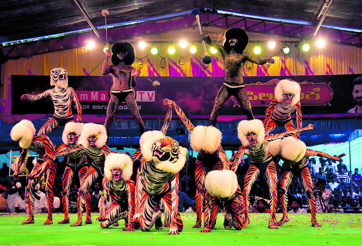Tiger dancers in action during ‘Pili Nalike 2019’ that was organised at the volleyball ground at Mannagudda, Mangaluru, on Monday.
