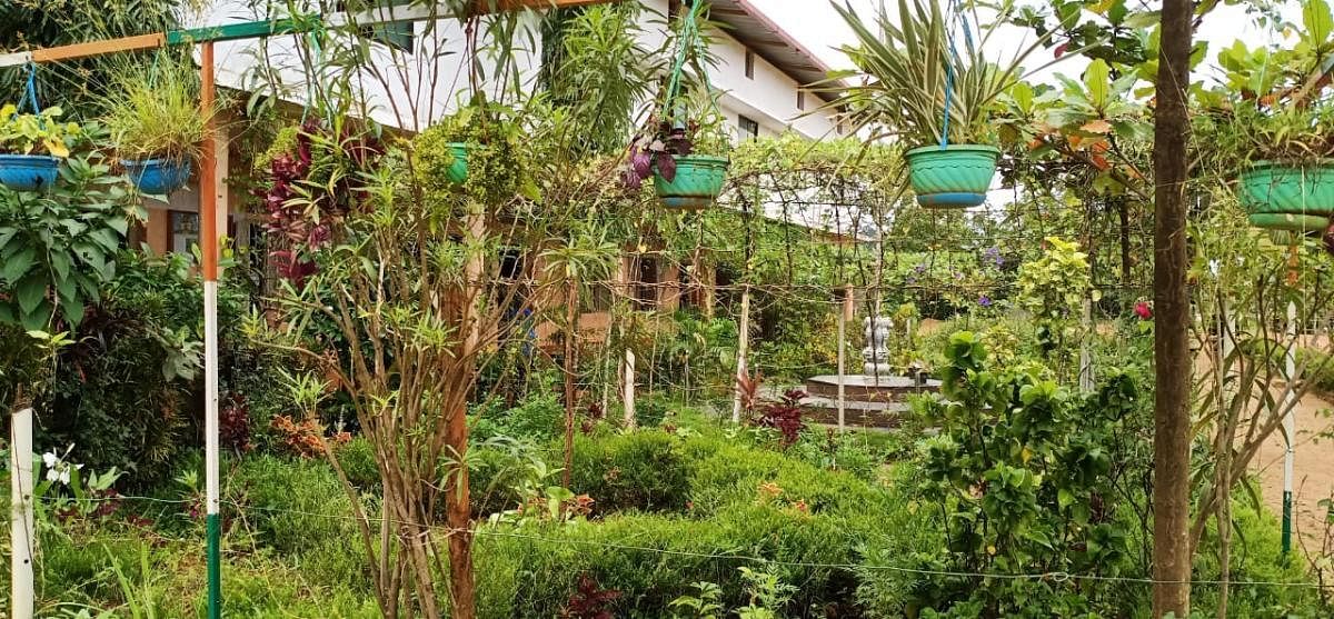 A hanging garden at Macchina Government High School at Ballamanja.