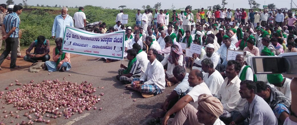 Onion growers protest price fall by dumping the produce on state highway 57, blocking traffic on Gadag-Ron stretch in Gadag district on Thursday. DH PHOTO