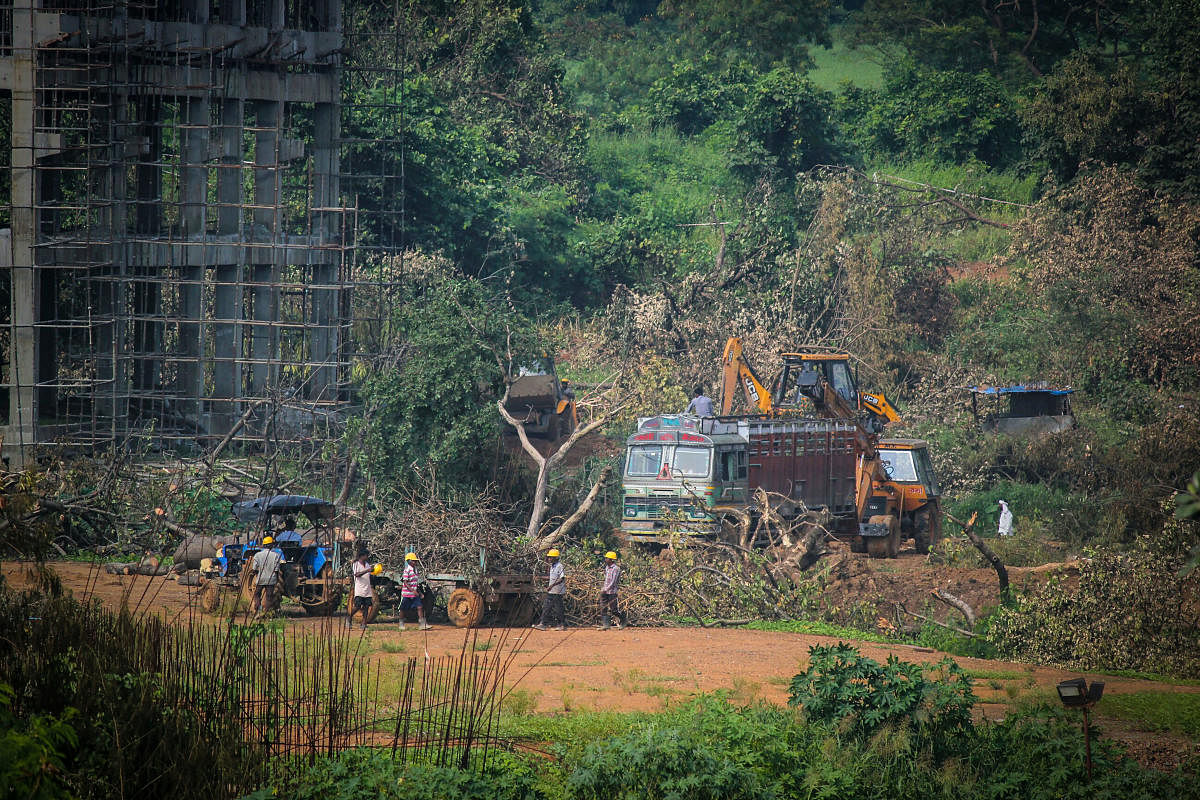 A tractor carries away the fallen trees for building a construction site of metro car parking shed at Aarey Colony. PTI