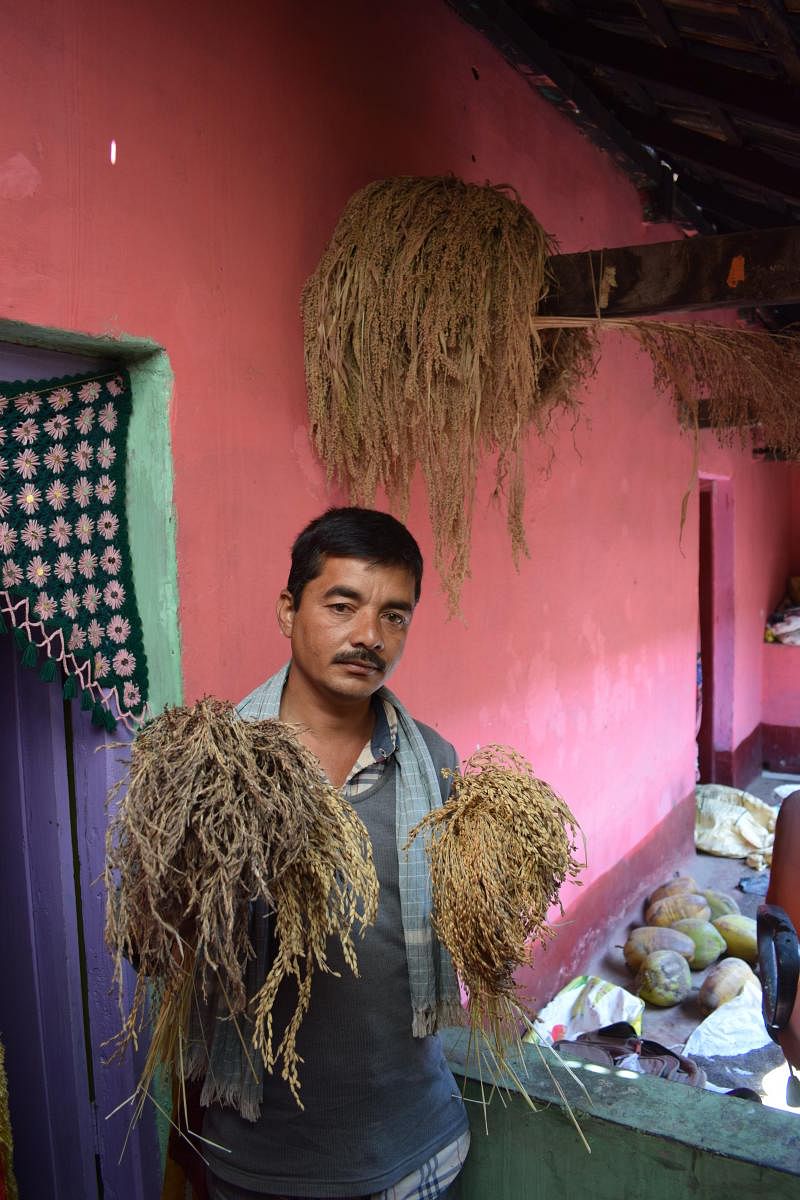 Farmer Syed Ghani Khan has brought back the use of traditional varieties even as farmers are lured into buying unsustainable varieties