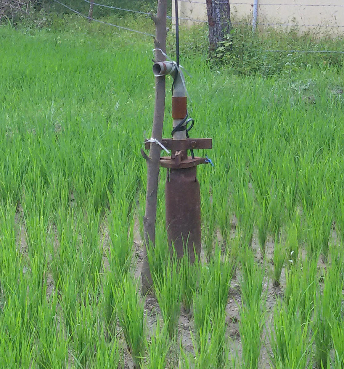 A borewell without power supply, at a paddy field.