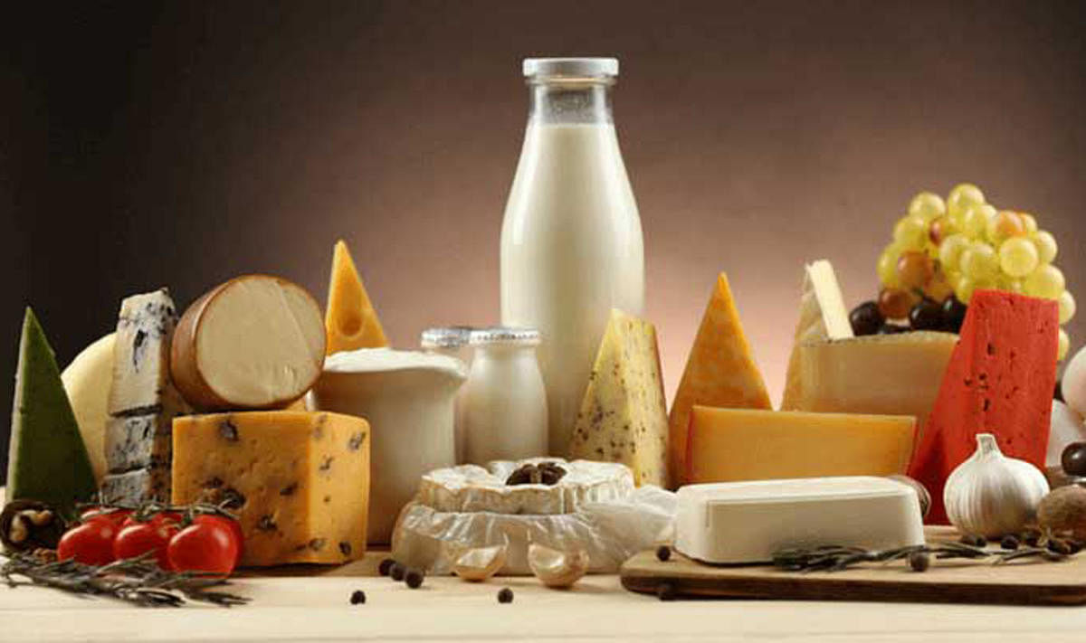 Dairy products (Image for Representation)