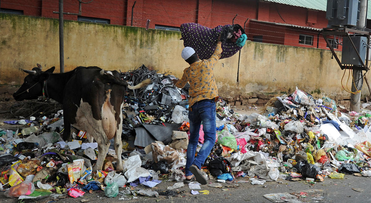 A man dumps garbage near as uncleared garbage pile-up on the busy Kamraj Road in Bengaluru on Saturday. | DH Photo: Pushkar V