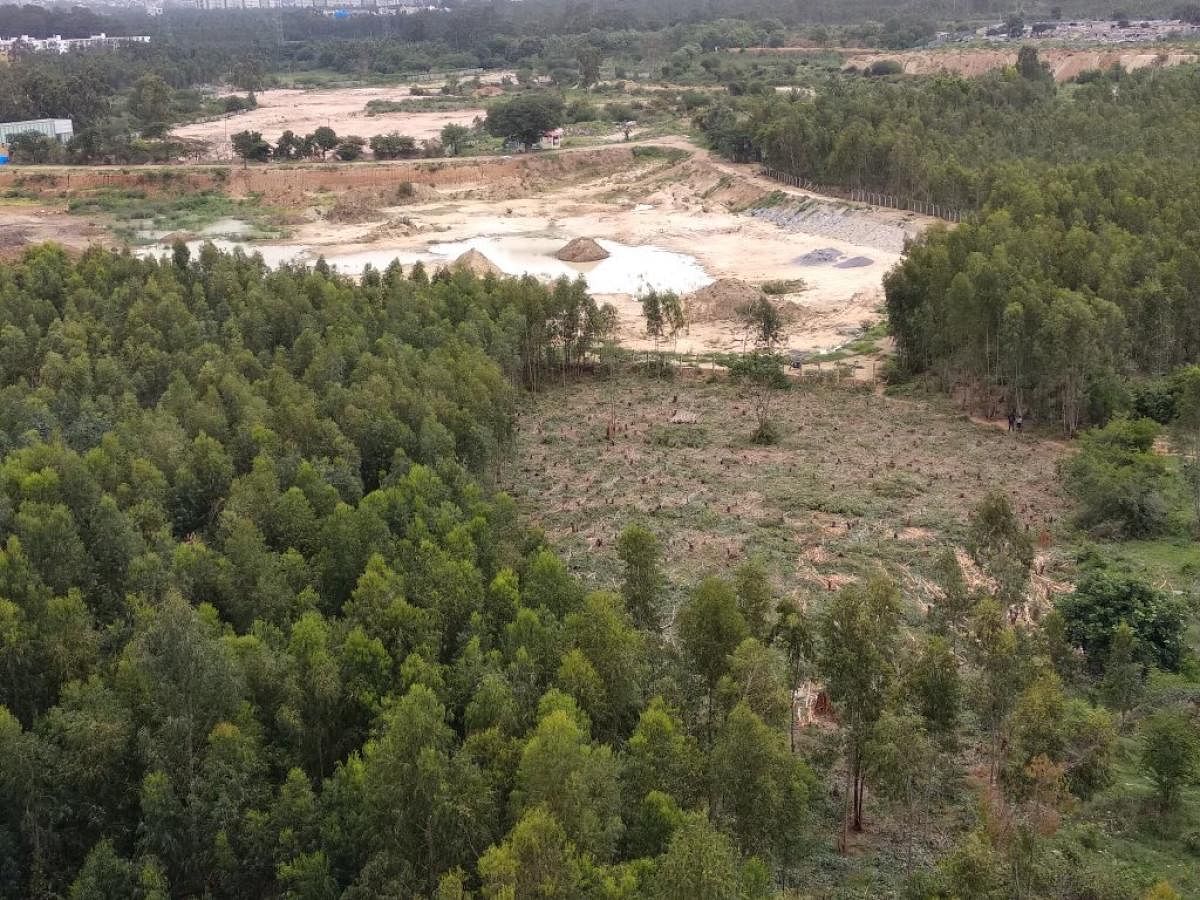 Bhoganahalli lake