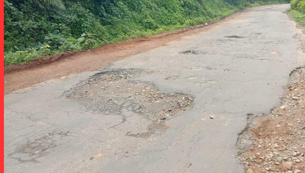 The pothole-ridden road at Thalathamane in Kodagu district.