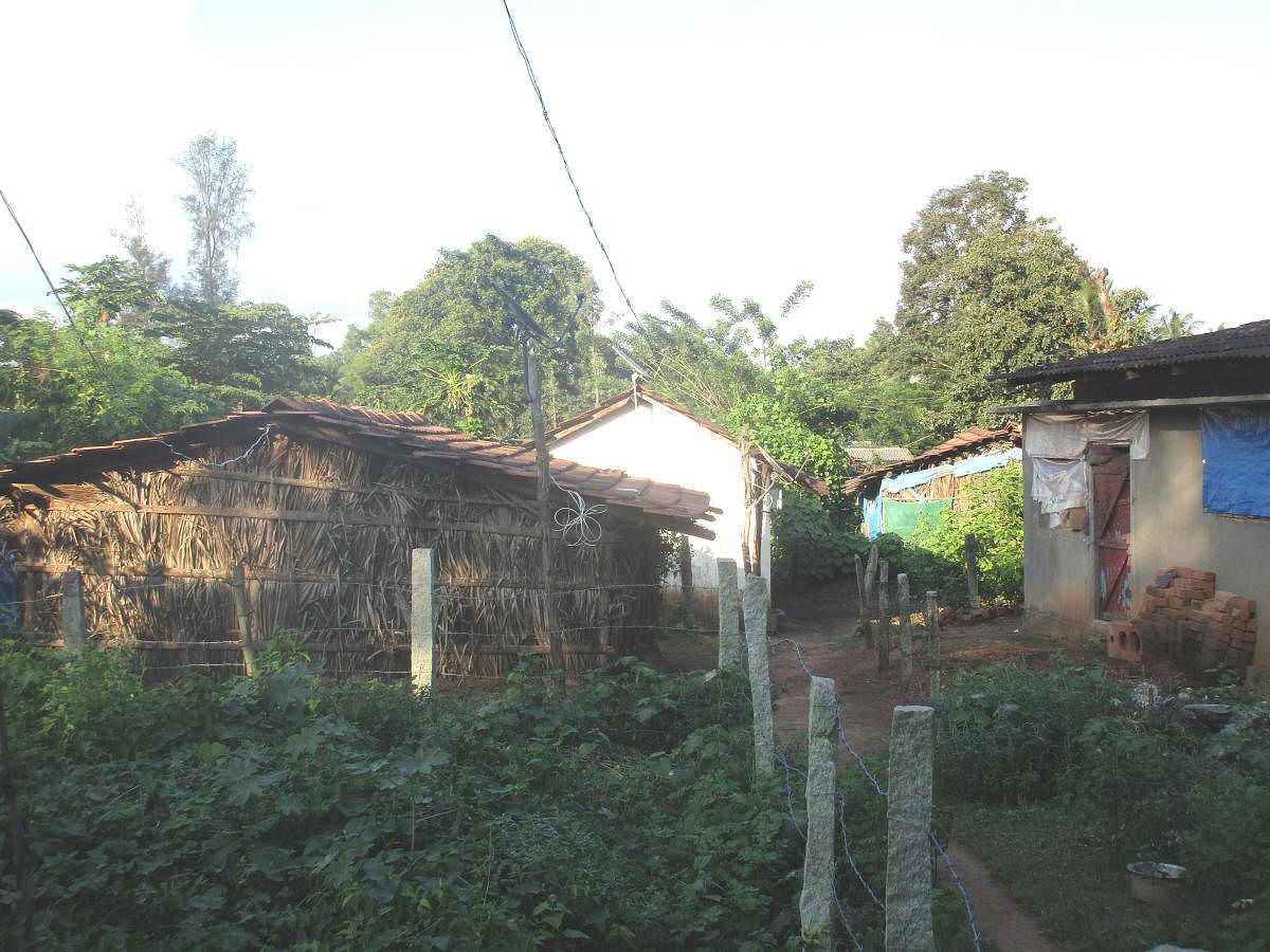 The houses in Bhovi Colony do not have toilets and residents are forced to defecate inthe open.