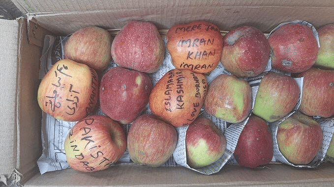 The fruit sellers on Wednesday threatened to boycott apples from Kashmir if the government fails to take action as people are refusing to purchase them due to these messages. Photo/Twitter