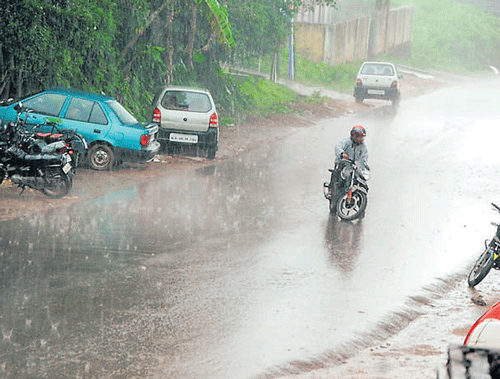 A motorcyclist is caught unawares as skies open up in&#8200; Mudigere in Chikmagalur district on Wednesday. dh photo