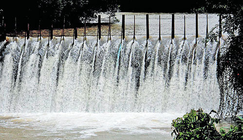 The&#8200;Kootu stream, a major source of water for Kodagu district,  is in spate. DH photo