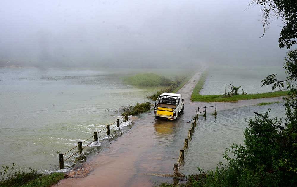 While the district has received the highest rainfall in the last 64 years according to weather experts, scientists from Indian Institute of Science (IISc) have attributed the damages to large-scale destruction of natural vegetation in the name of development in the last four decades. DH Photo