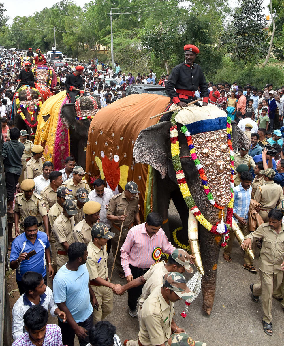Gajayapayana, the elephants march to participate in Mysuru Dasara-2017.(dh file photo)