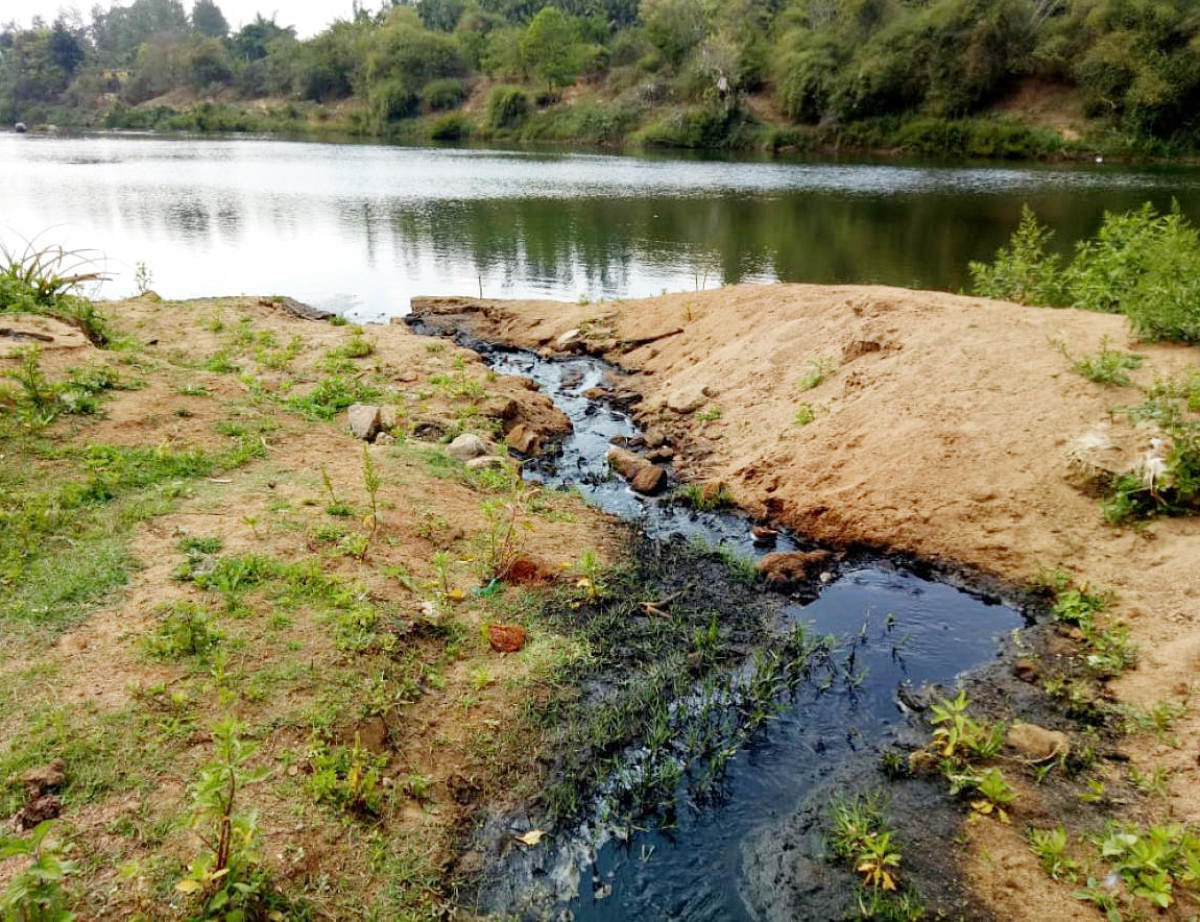 Waste from coffee pulping units enters River Cauvery near Siddapura in Kodagu district.