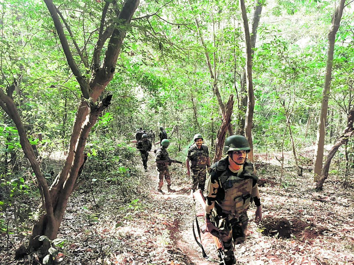 Anti-Naxal Force personnel carry out combing operations in forest region in border areas of Kodagu district on Saturday. DH photo